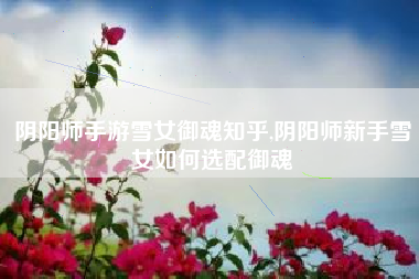 阴阳师手游雪女御魂知乎,阴阳师新手雪女如何选配御魂