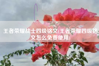 王者荣耀战士四级铭文(王者荣耀四级铭文怎么免费使用)