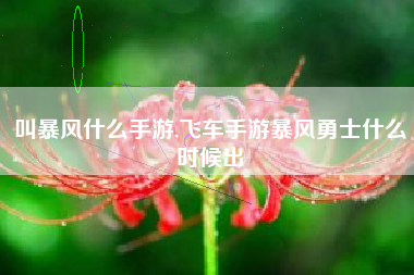 叫暴风什么手游,飞车手游暴风勇士什么时候出
