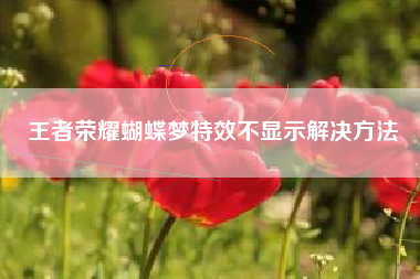 王者荣耀蝴蝶梦特效不显示解决方法