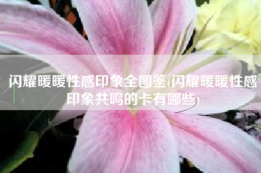 闪耀暖暖性感印象全图鉴(闪耀暖暖性感印象共鸣的卡有哪些)