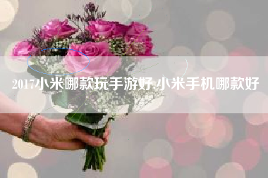 2017小米哪款玩手游好,小米手机哪款好