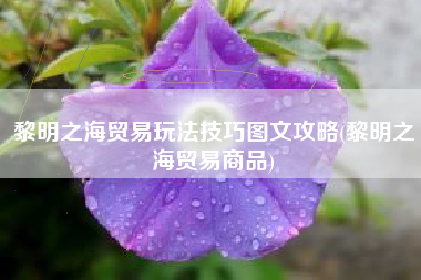 黎明之海贸易玩法技巧图文攻略(黎明之海贸易商品)