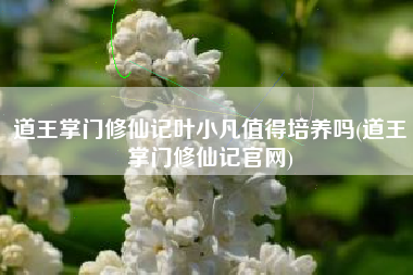 道王掌门修仙记叶小凡值得培养吗(道王掌门修仙记官网)