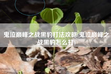 鬼泣巅峰之战黑豹打法攻略(鬼泣巅峰之战黑豹怎么打)