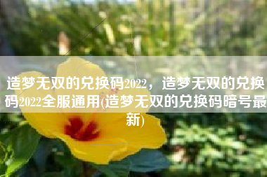 造梦无双的兑换码2022，造梦无双的兑换码2022全服通用(造梦无双的兑换码暗号最新)