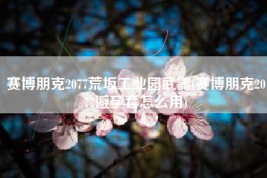 赛博朋克2077荒坂工业园武器(赛博朋克2077避孕套怎么用)