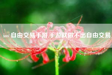 ios 自由交易手游,手游就做不出自由交易