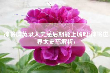 神将群英录太史慈后期能上场吗(神将世界太史慈解析)