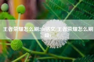 王者荣耀怎么刷280铭文(王者荣耀怎么刷级)