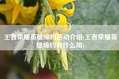 王者荣耀英雄缔约活动介绍(王者荣耀英雄缔约有什么用)