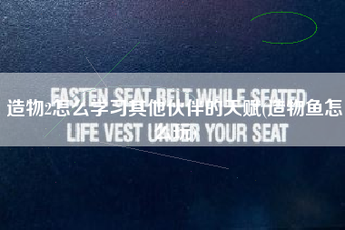 造物2怎么学习其他伙伴的天赋(造物鱼怎么玩)
