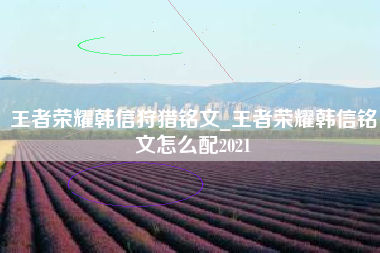 王者荣耀韩信狩猎铭文_王者荣耀韩信铭文怎么配2021