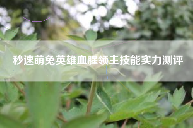 秒速萌兔英雄血腥领主技能实力测评