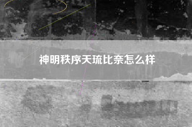 神明秩序天琉比奈怎么样