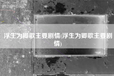 浮生为卿歌主要剧情(浮生为卿歌主要剧情)