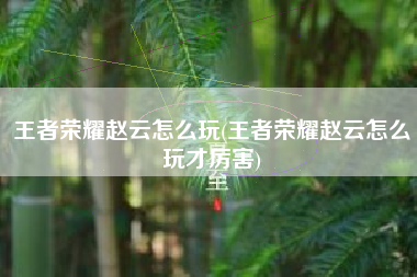 王者荣耀赵云怎么玩(王者荣耀赵云怎么玩才厉害)