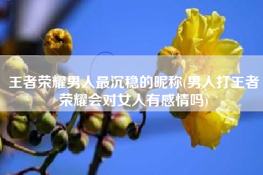 王者荣耀男人最沉稳的昵称(男人打王者荣耀会对女人有感情吗)
