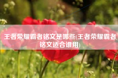 王者荣耀霸者铭文是哪些(王者荣耀霸者铭文适合谁用)