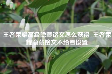 王者荣耀高级隐藏铭文怎么获得_王者荣耀隐藏铭文不给看设置