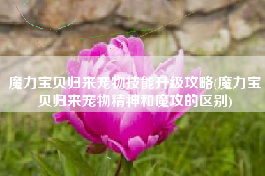魔力宝贝归来宠物技能升级攻略(魔力宝贝归来宠物精神和魔攻的区别)