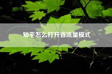 知乎怎么打开省流量模式 知乎怎么打开省流量模式