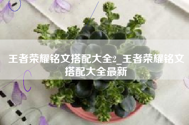 王者荣耀铭文搭配大全2_王者荣耀铭文搭配大全最新