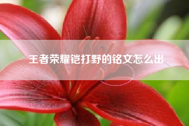 王者荣耀铠打野的铭文怎么出