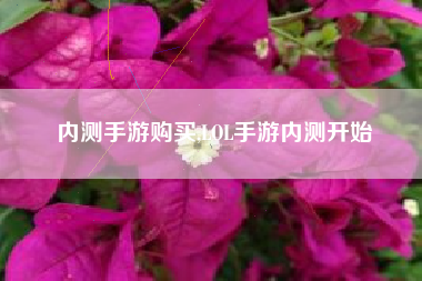 内测手游购买,LOL手游内测开始