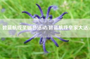碧蓝航线圣诞节活动(碧蓝航线皇家大活)
