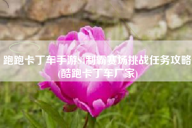 跑跑卡丁车手游S4制霸赛场挑战任务攻略(酷跑卡丁车厂家)