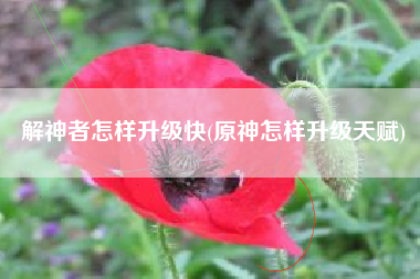 解神者怎样升级快(原神怎样升级天赋)