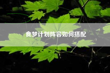 食梦计划阵容如何搭配