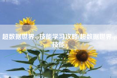 超数据世界sp技能学习攻略(超数据世界sp技能)