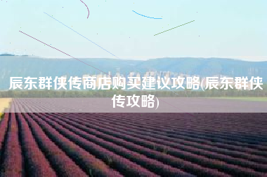 辰东群侠传商店购买建议攻略(辰东群侠传攻略)
