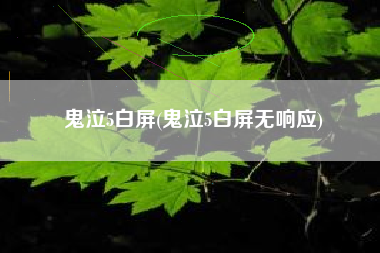 鬼泣5白屏(鬼泣5白屏无响应)