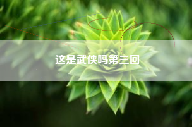 这是武侠吗第三回