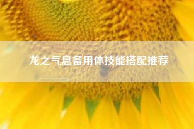 龙之气息备用体技能搭配推荐