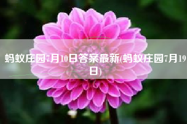 蚂蚁庄园7月10日答案最新(蚂蚁庄园7月19日)