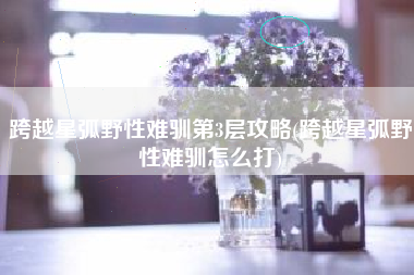 跨越星弧野性难驯第3层攻略(跨越星弧野性难驯怎么打)