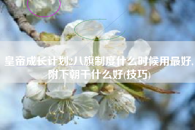 皇帝成长计划2八旗制度什么时候用最好,附下朝干什么好(技巧)