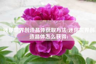 迷你世界创造晶体获取方法(迷你世界创造晶体怎么获得)