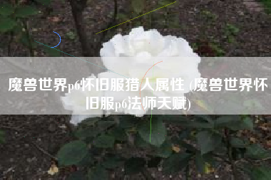 魔兽世界p6怀旧服猎人属性 (魔兽世界怀旧服p6法师天赋)