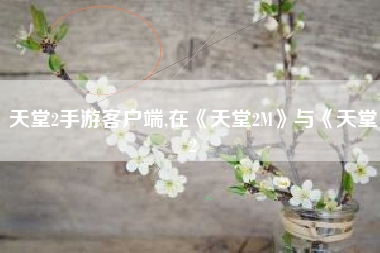 天堂2手游客户端,在《天堂2M》与《天堂2