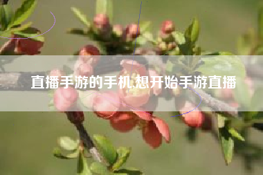 直播手游的手机,想开始手游直播
