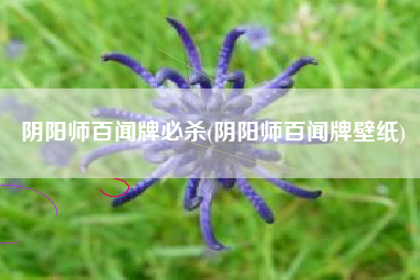 阴阳师百闻牌必杀(阴阳师百闻牌壁纸)