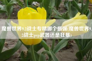 魔兽世界9.2战士专精哪个最强(魔兽世界9.2战士pvp武器还是狂暴)