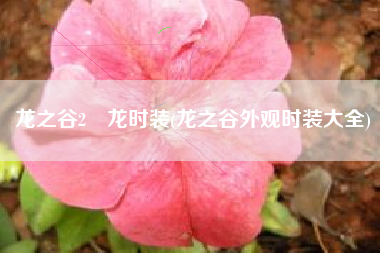 龙之谷2燚龙时装(龙之谷外观时装大全)