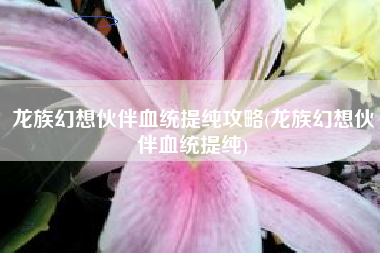 龙族幻想伙伴血统提纯攻略(龙族幻想伙伴血统提纯)