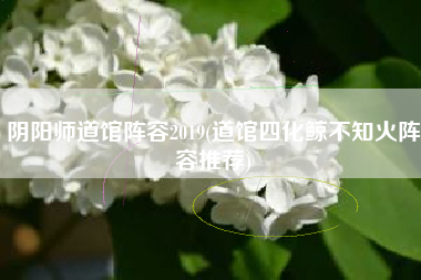 阴阳师道馆阵容2019(道馆四化鲸不知火阵容推荐)